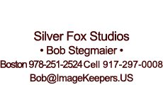 Silver Fox Studios