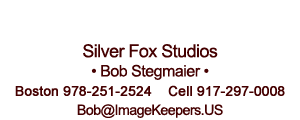 Silver Fox Studios