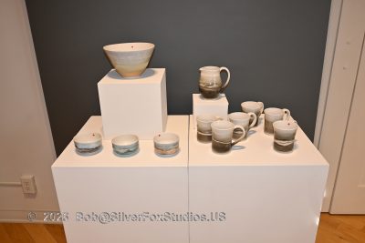 RWS-0006